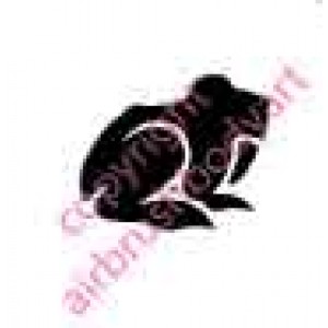 0213 frog re-usable stencil